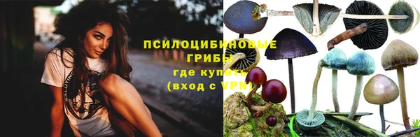 шишки Абдулино