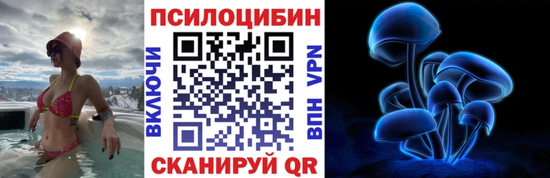 как найти Богородицк Галлюциногенные грибы ЛСД