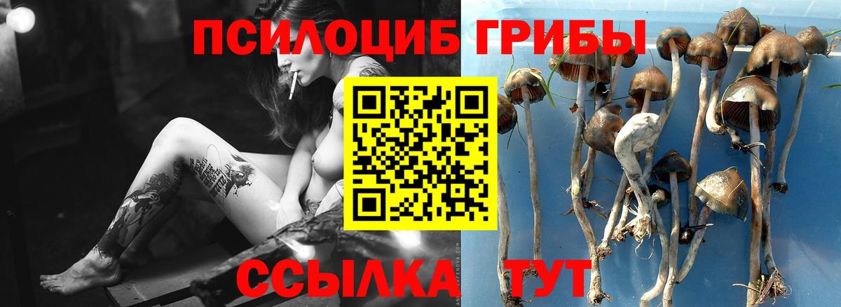 Псилоцибиновые грибы мухоморы  Вход с VPN  как найти наркотики  Галлюциногенные грибы MAGIC MUSHROOMS  Богородицк 